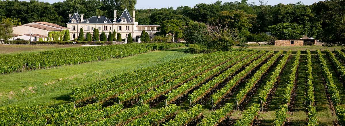 Chateau Meyre Avensan Екстер'єр фото